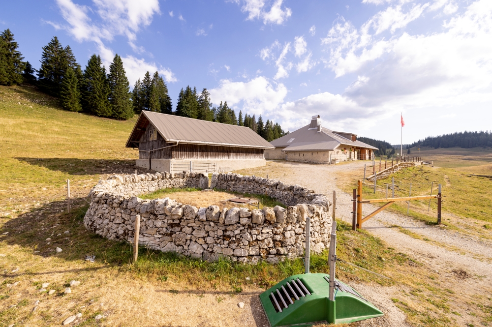 L'eau, une ressource fragile