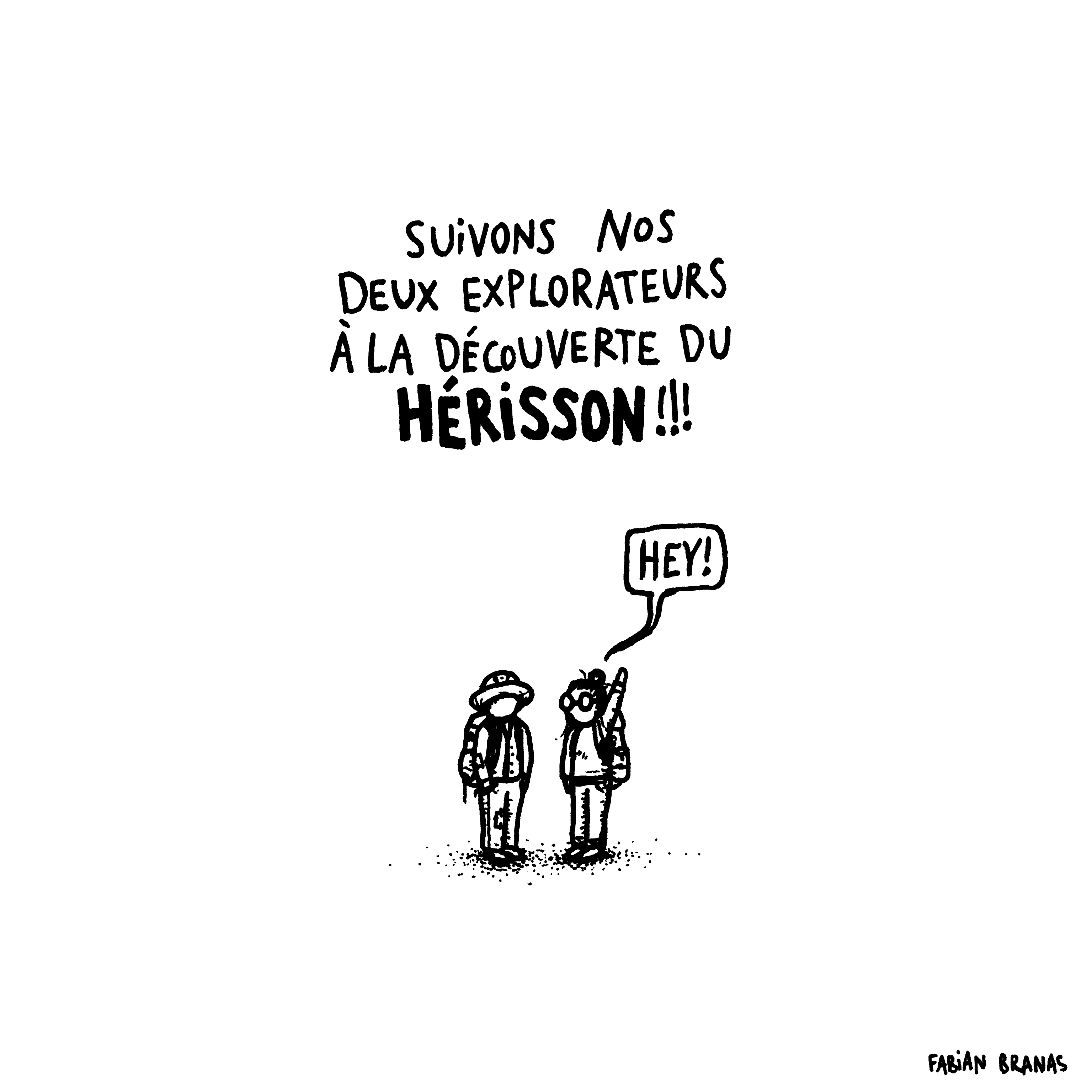 La chronique du hérisson