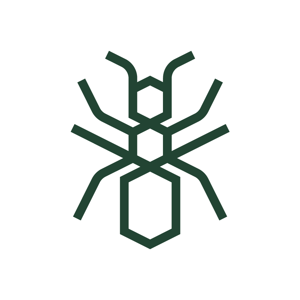 <p>fourmis des bois (environ...)</p>