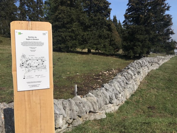 Sentier du Sapin à Siméon