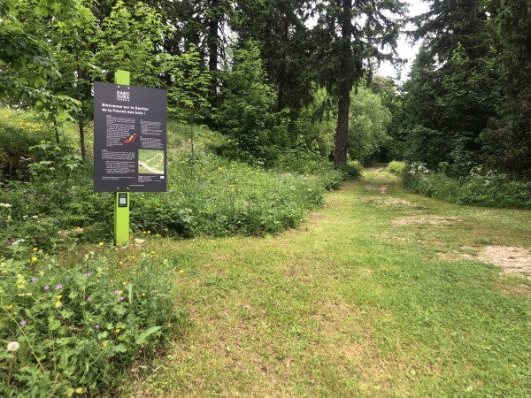 Sentier de la Fourmi des bois