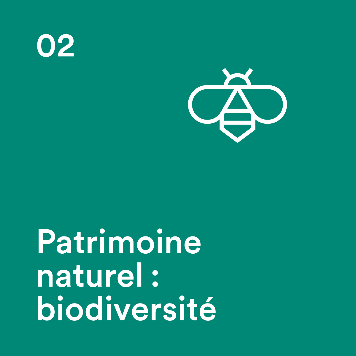 Conférence: L'accueil en forêt - 13.11.2024
